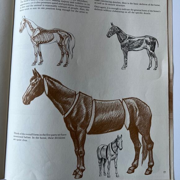 Animal Drawing Instruction Manual - Picture 9 of 11